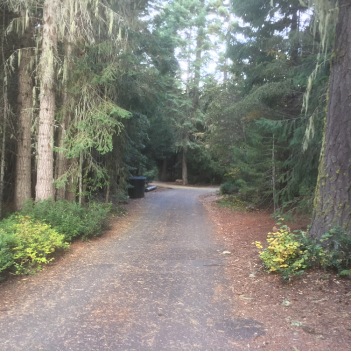 Doe Point Campground