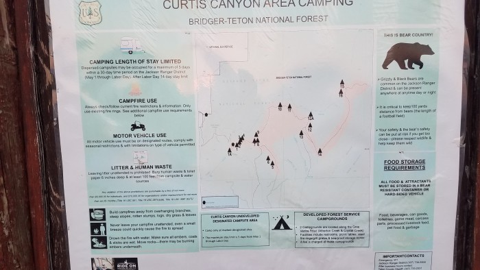 Curtis Canyon Campground