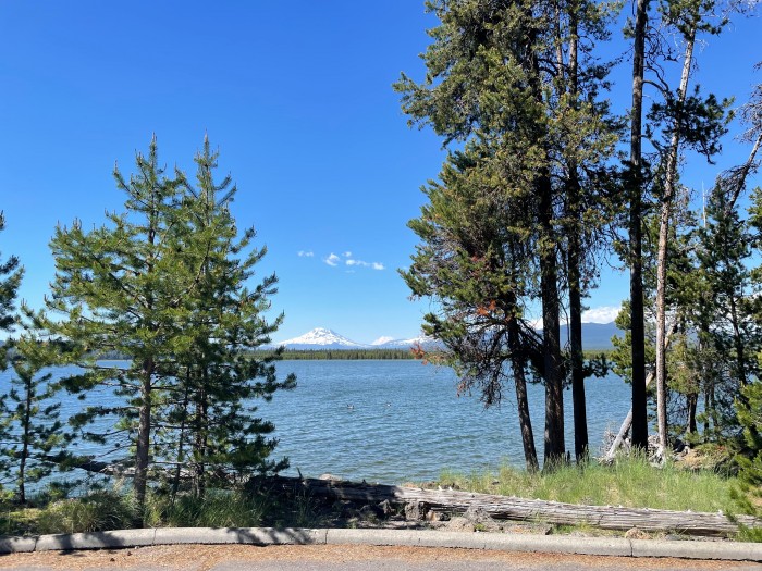 Crane Prairie Campground
