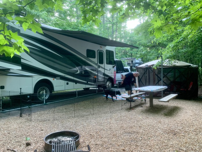 Coleman Lake Recreation Area Campground