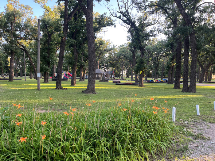 Markley Grove Park