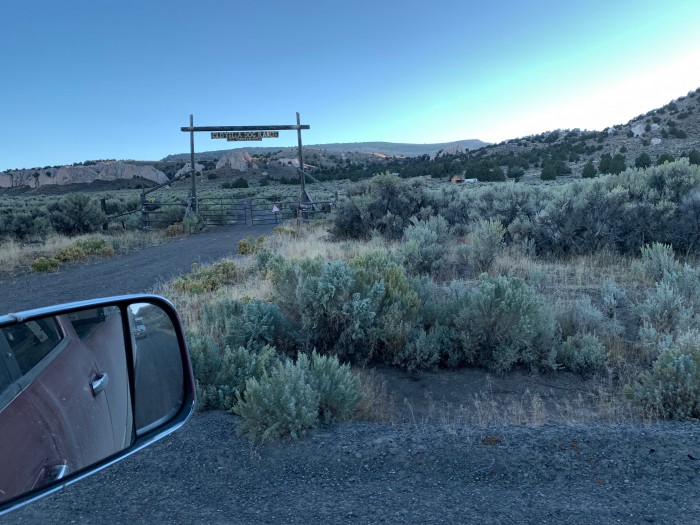 Old Yella Dog Ranch