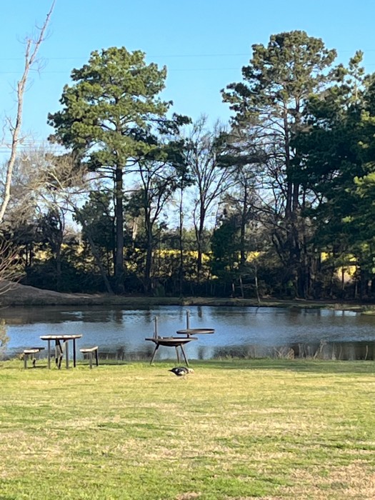Kozy Lakes RV Park