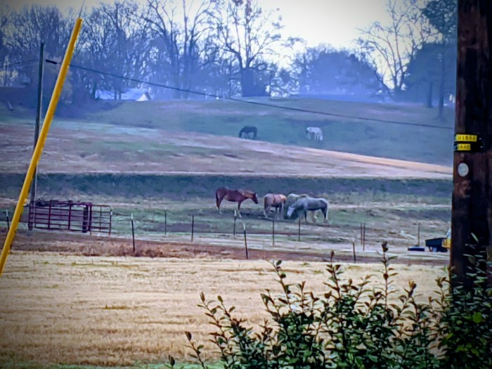 Piney Creek RV Park