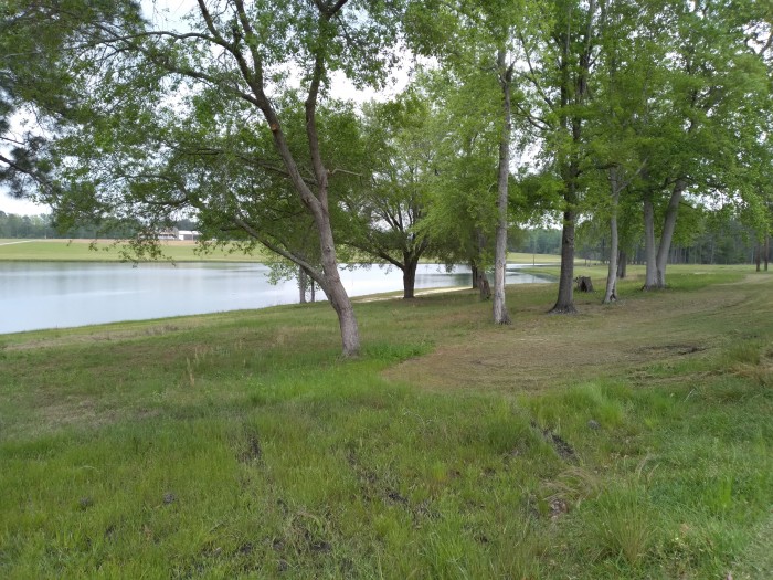 Piney Woods Lake Campground