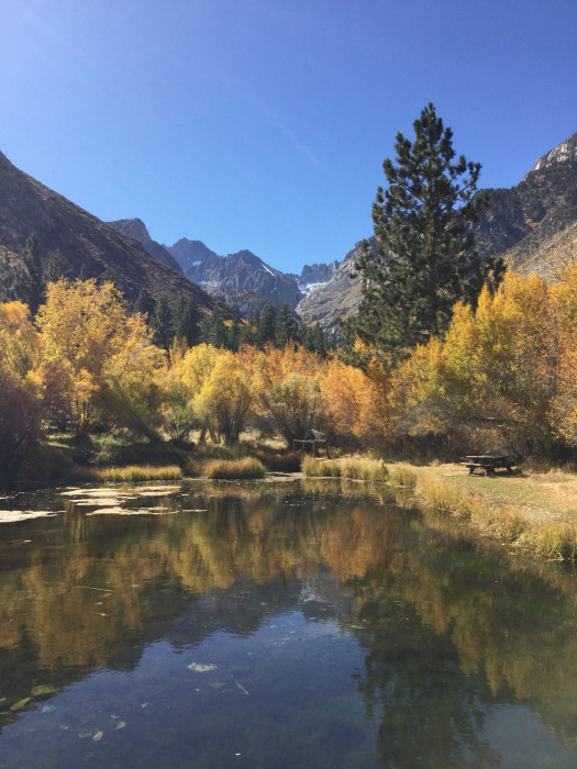 Big Pine Campground