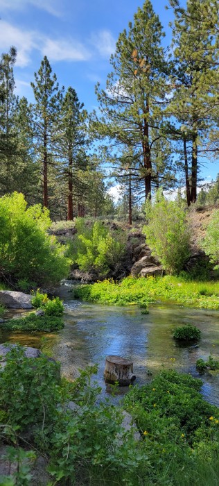 Big Springs Campground