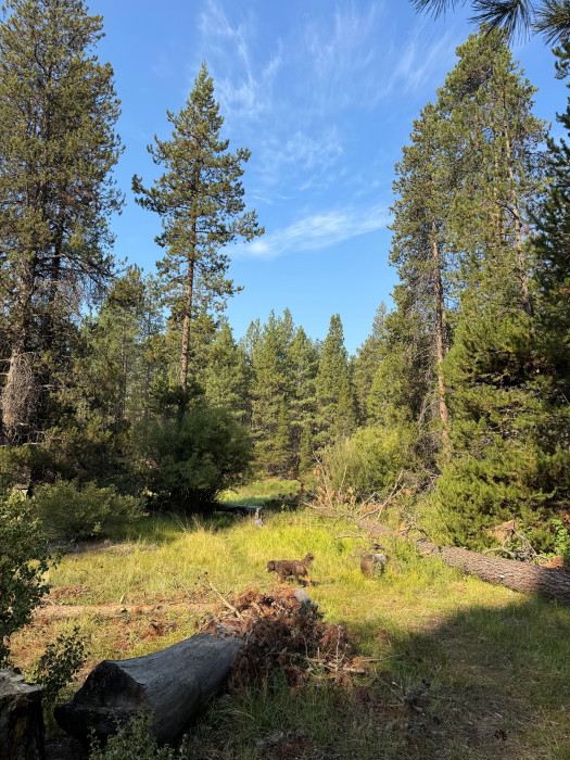 Big River Campground