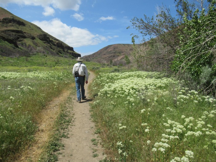 Umtanum Campground