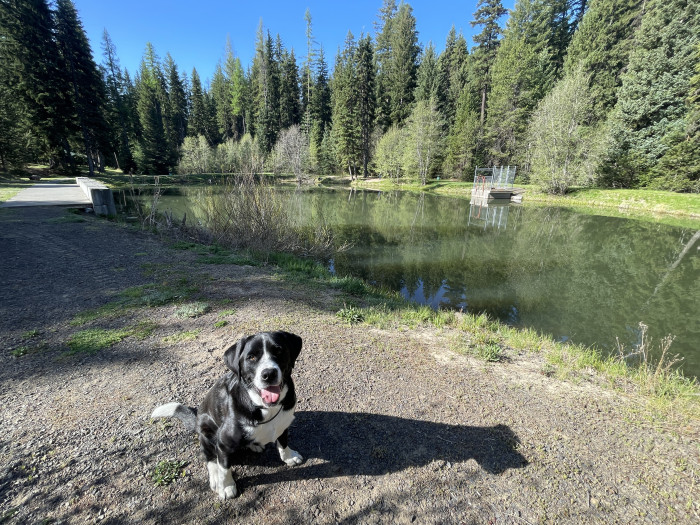 Cutsforth Forest Park