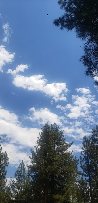 Big Pine Flat Family Campground