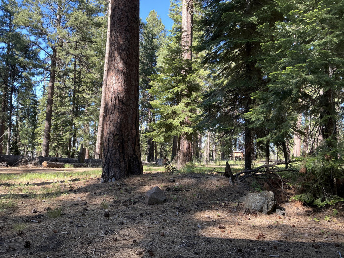 Barnhouse Campground