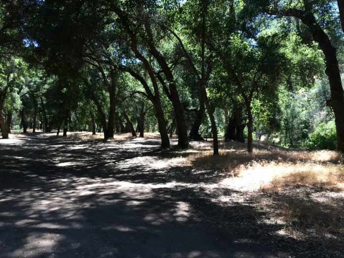 Aliso Park Campground