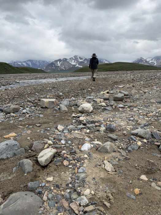 Teklanika River Campground