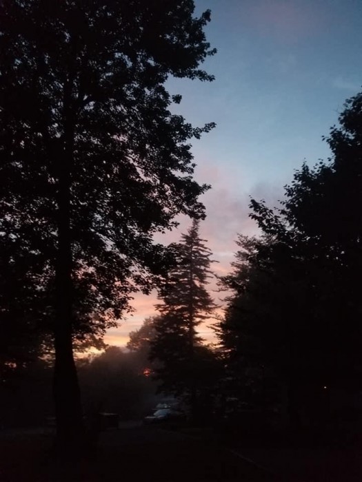 Balsam Mountain Campground
