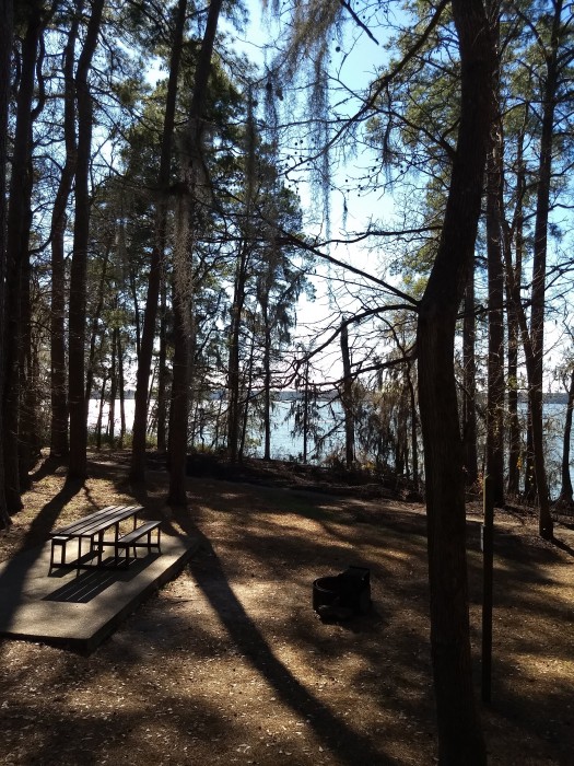 Cagle Recreation Area FM