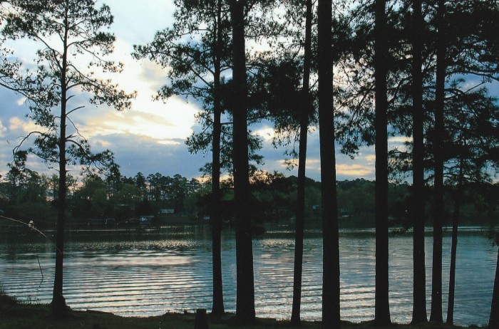 Brushy Branch Campground