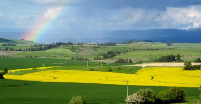 Seubert RV Park & Guesthouse