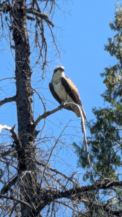 Coffee Creek Campground & RV Park