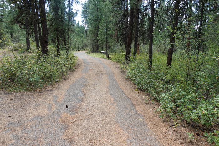 Idlewild Campground