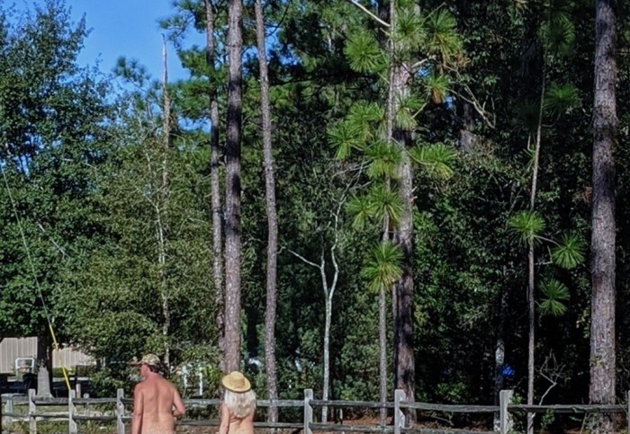 Cedar Creek Resort