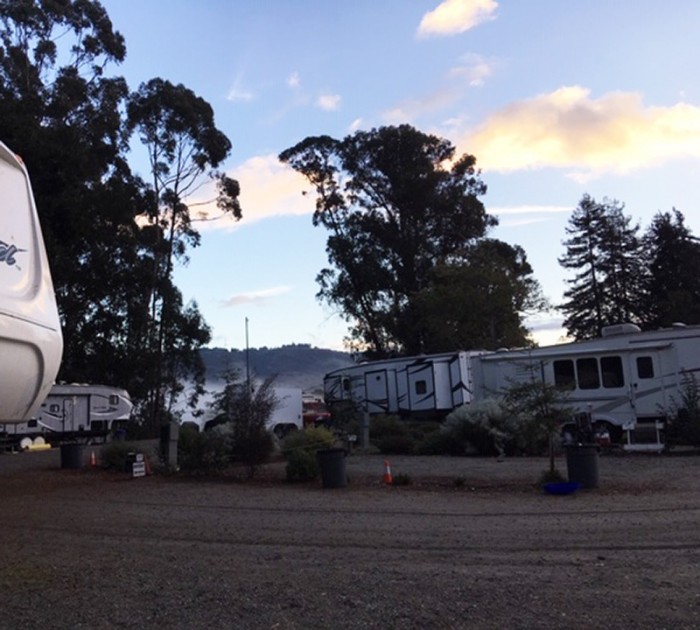Santa Cruz County Fair RV Park