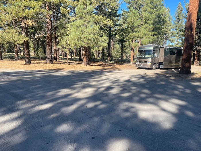 Owens River Road Dispersed Camping