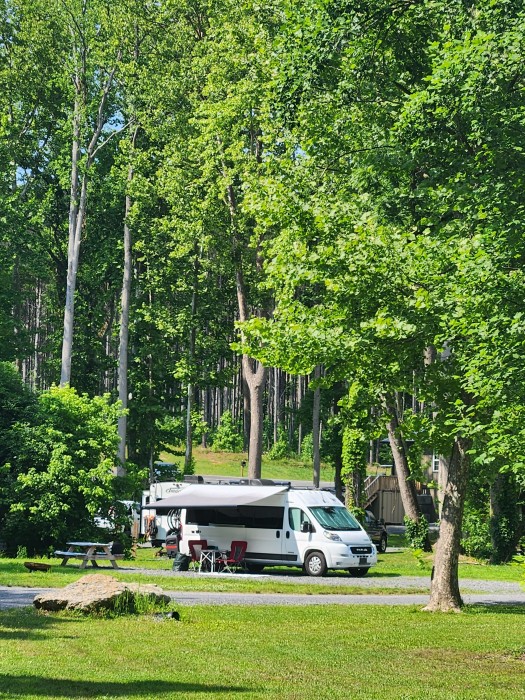 411 River Rest