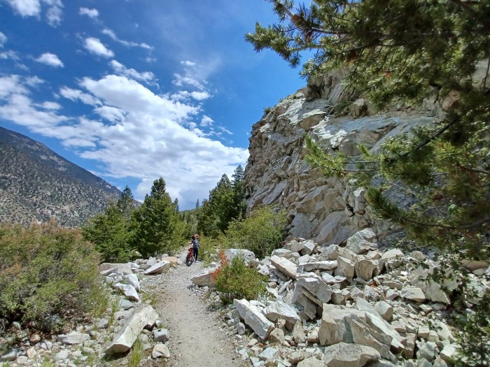 Mount Princeton Campground