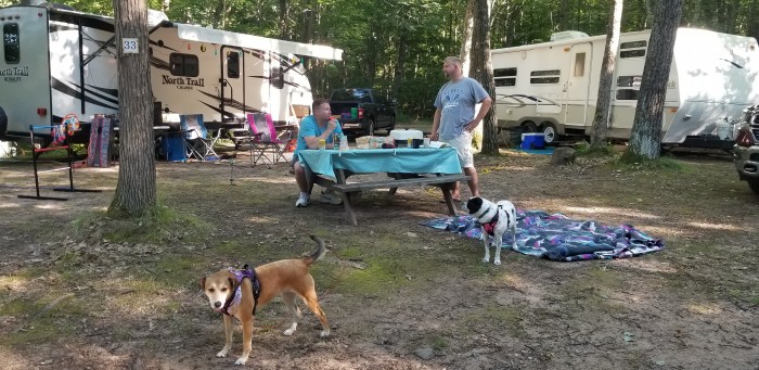 Scenic View Bar & Campground