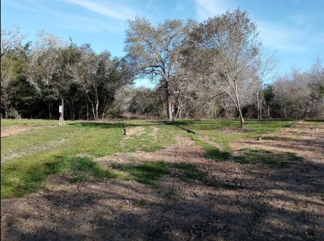 Squawk and Skedaddle Campground