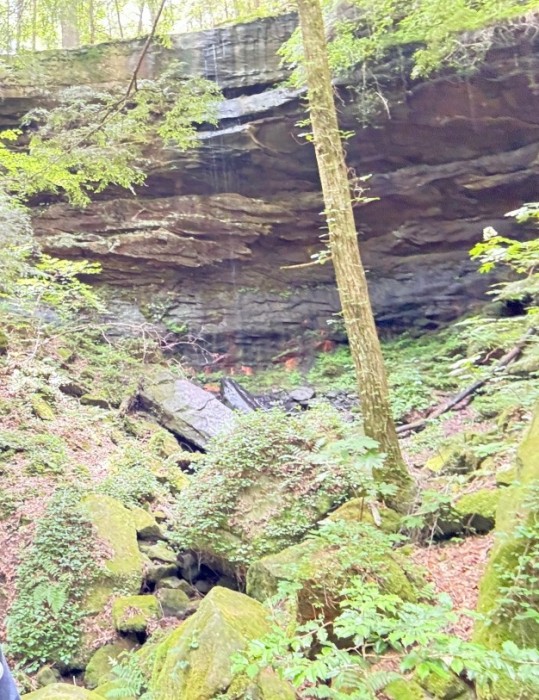 Brushy Lake Recreational Area Campground
