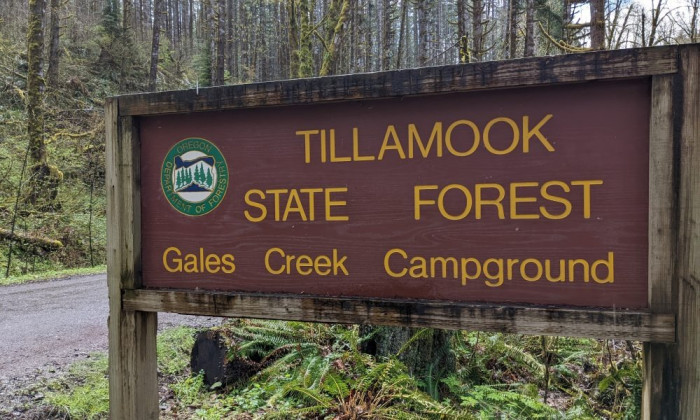 Gales Creek Campground