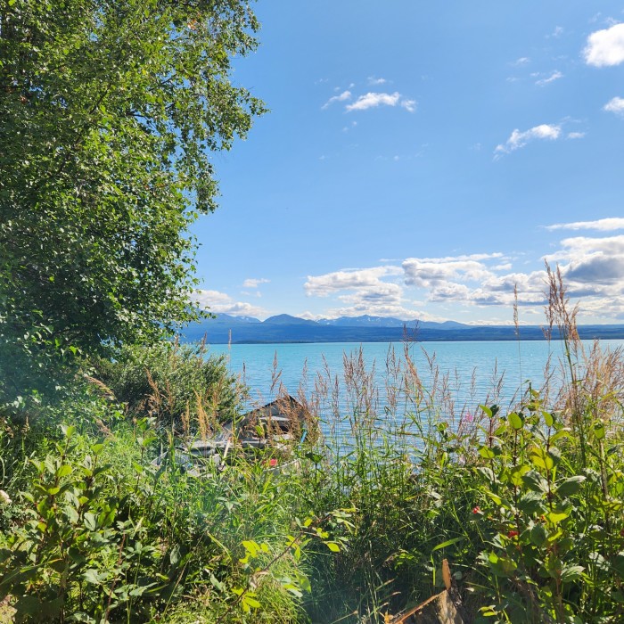 Lower Skilak Campground
