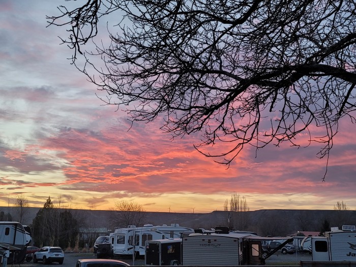 Rustic Edge RV Park and Cabins