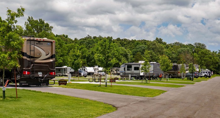 Hog Valley RV & Treehouse Resort