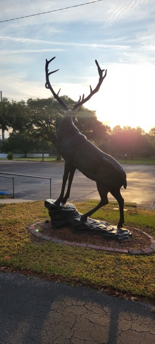 Zephyrhills Elks Lodge #2731