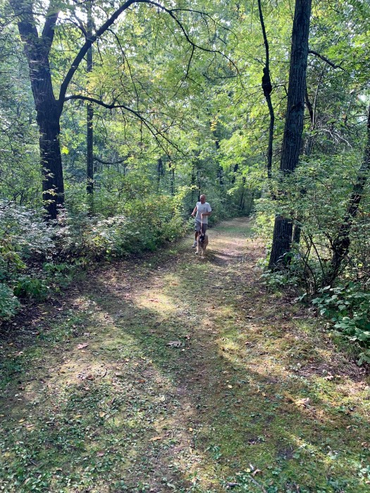 New Glarus Woods State Park Campground