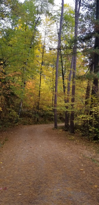 McCarthy Beach State Park – Side Lake Campground