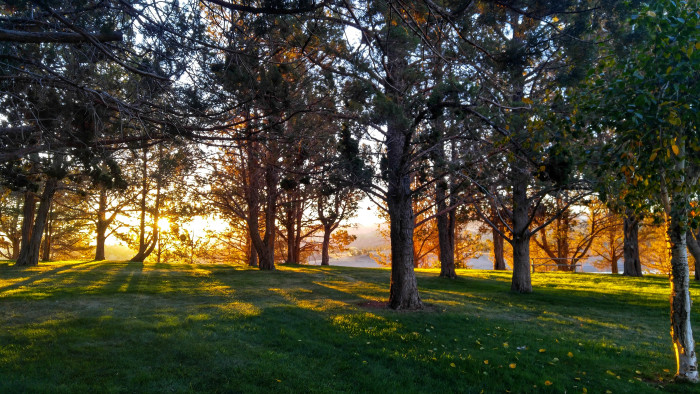 Prineville Reservoir State Park, Main Campground