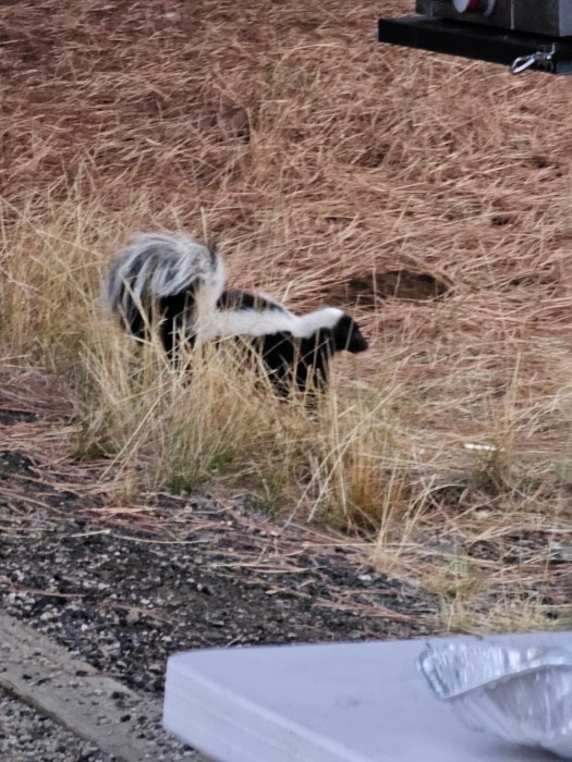 Horsethief Reservoir State Park