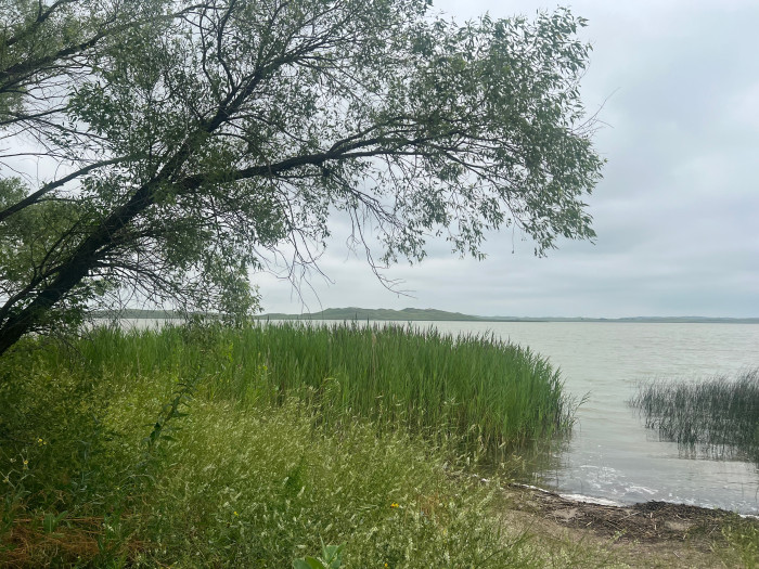 Big Alkali Lake State Wildlife Area
