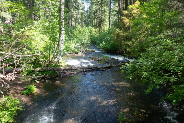 Rogue River-Siskiyou National Forest – Union Creek Campground