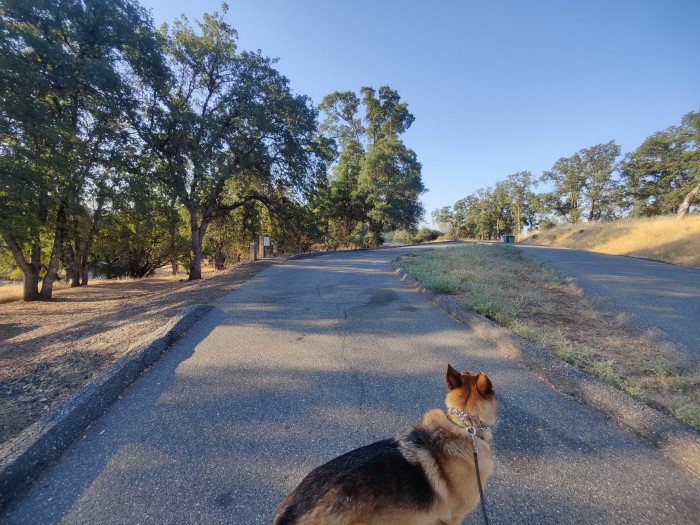Lime Saddle Campground