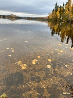 Birch Lake State Recreation Site