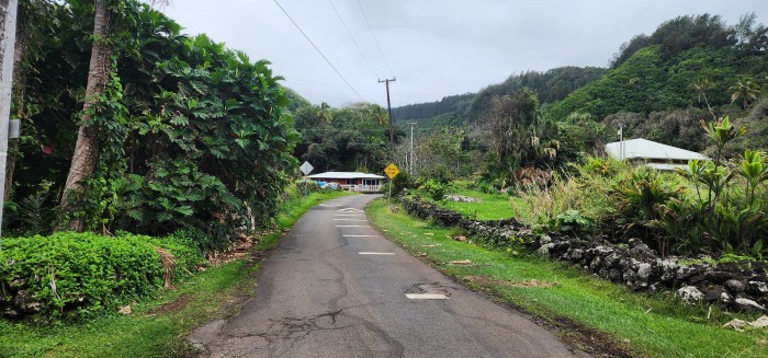 Hawaii County Laupahoehoe Beach Park