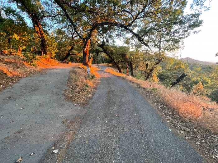 Fremont Peak State Park