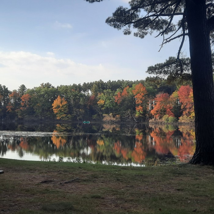 Collins Park Campground