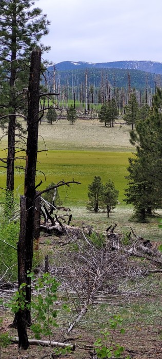 Winn Campground