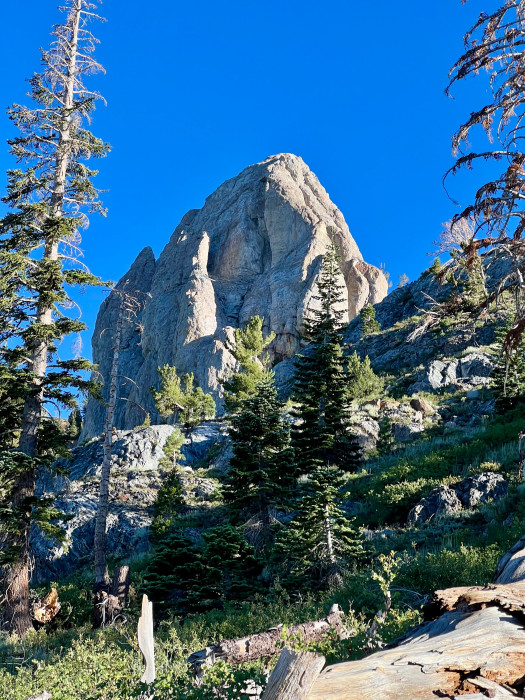Camp High Sierra